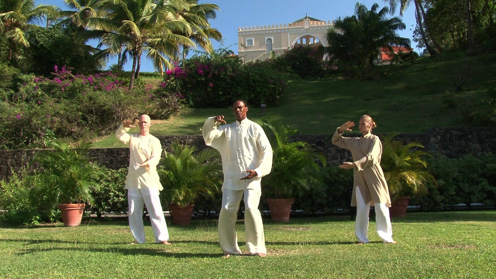 Tai-Chi - Balance and mobility