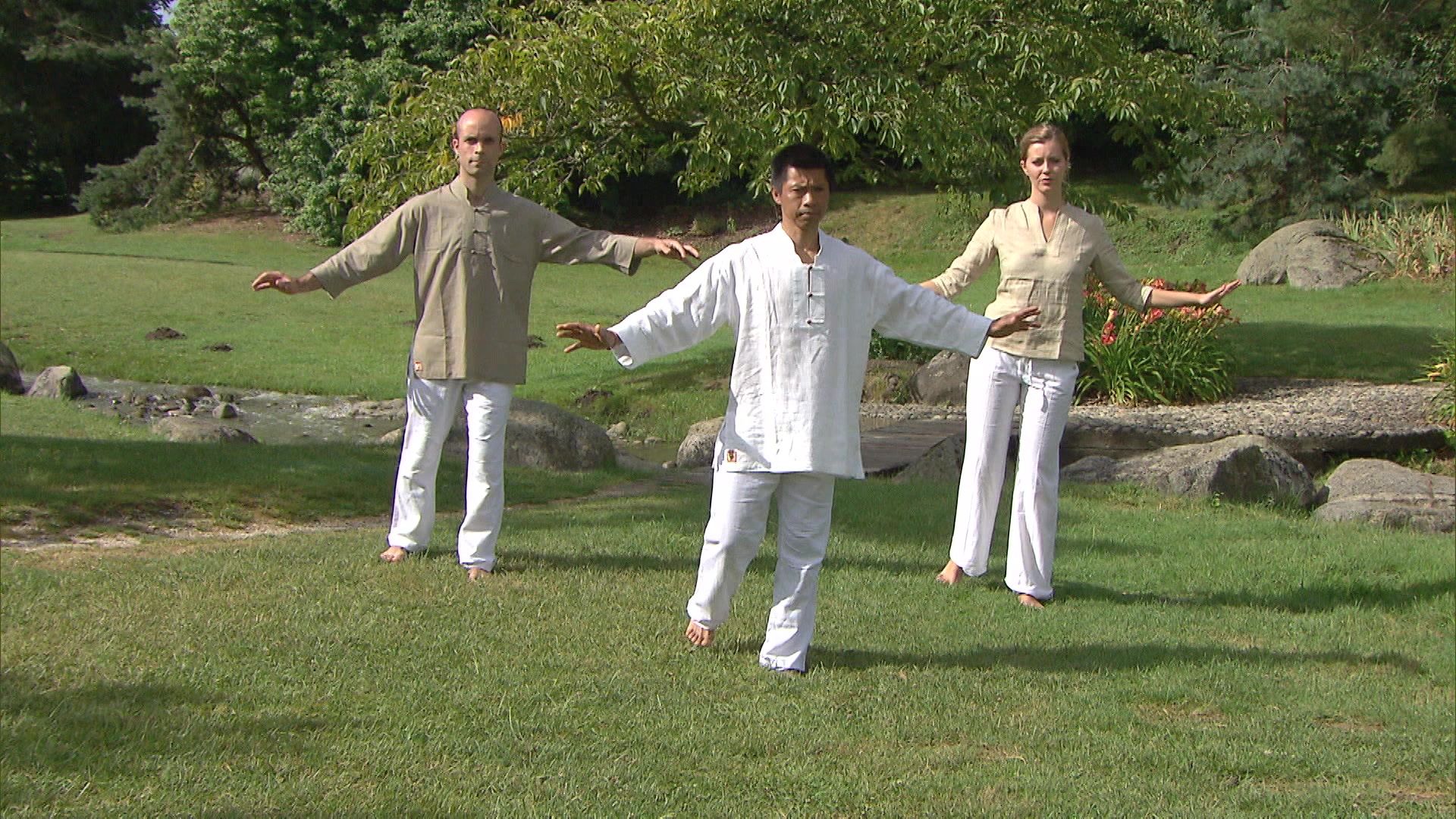 Tai-Chi - Balance part 2